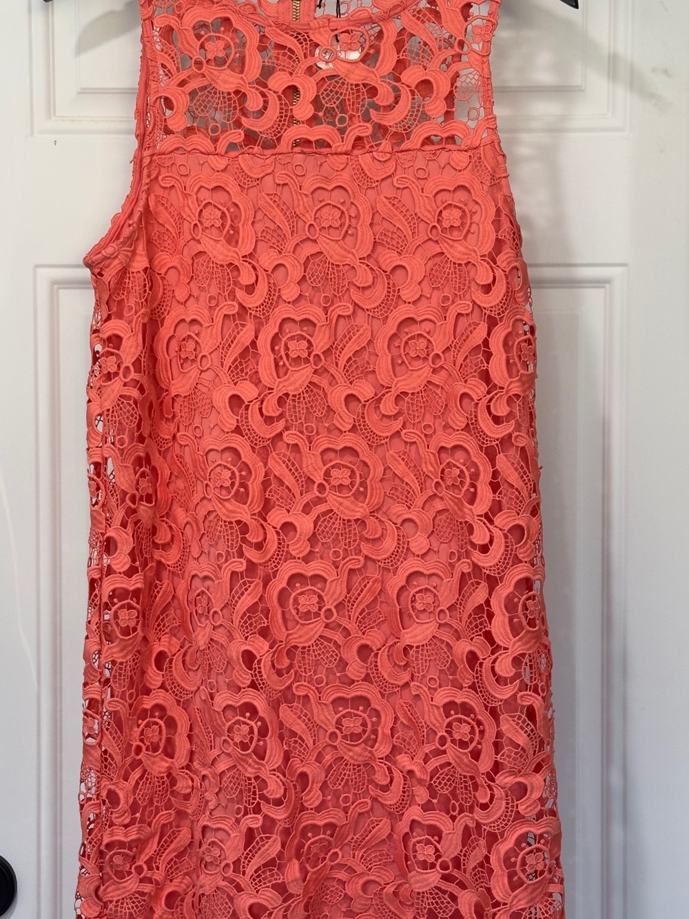 Black Swan Coral Lace Mini Dress